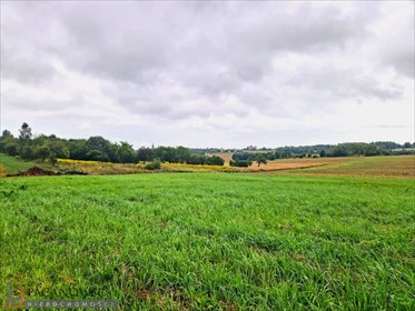 działka na sprzedaż Smardzowice 3000 m2