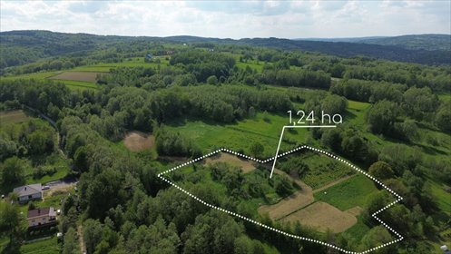 Malownicza działka 1,24 ha z lasem i potencjałem działka Lubenia