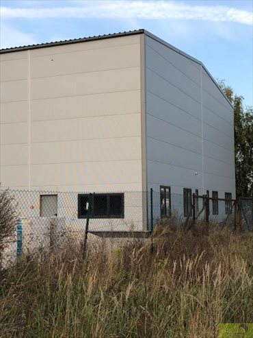 Lokal użytkowy na wynajem Cigacice 3 000m2 Foto 4