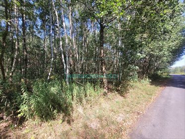 działka na sprzedaż 4465m2 działka Adamów-Wieś