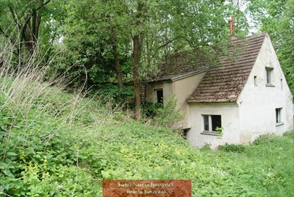 Działka 7325 m² z domem w Romanowie - polecam działka Romanów