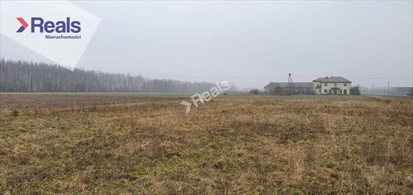 Działka budowlana na sprzedaż Marków-Towarzystwo 7 000m2 Foto 1