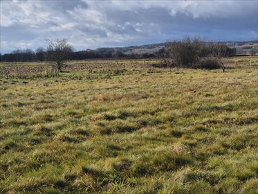 działka na sprzedaż 3236m2 działka Osobnica