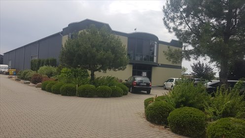 lokal użytkowy na wynajem 650m2 lokal użytkowy Bronisze, Bronisze