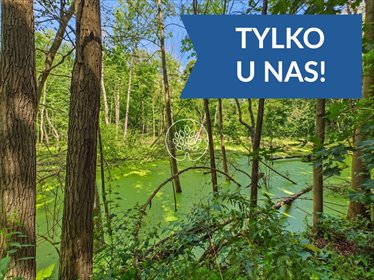 Przestronna działka 4300 m² z własną linią brzegową. działka Omięciny