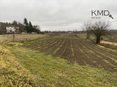 działka na sprzedaż 3300m2 działka Kazimierz Dolny, Góry Pierwsze