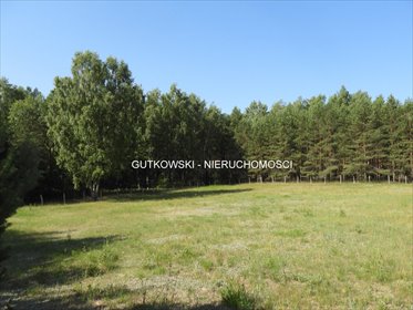 Działka rolno-leśna 13,1 ha nad jeziorami Mazur. działka Otręba