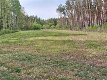 działka na sprzedaż 3000m2 działka Kapice