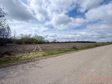 działka na sprzedaż 4900m2 działka Końcowizna