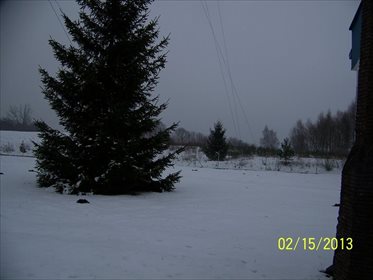 działka na sprzedaż 23000m2 działka Gołogóra, Gołogóra