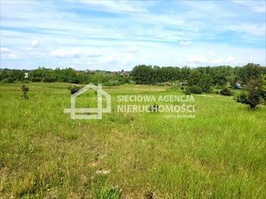 Działka budowlana 918 m² w Żukowie - las i jezioro blisko działka Żukowo
