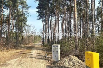 Działka 1040 m² z warunkami zabudowy las media polecam! działka Zakręt
