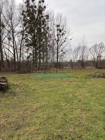 działka na sprzedaż 4408m2 działka Jaktorów-Kolonia