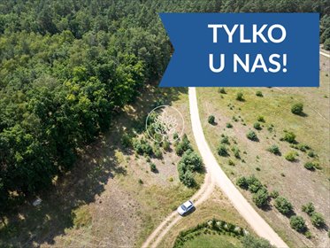 Działka 1585 m² pod dom w lesie - polecam! działka Kobylarnia
