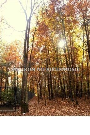 Zalesiona działka 1700 m² w Radziejowicach - zapraszam działka Radziejowice, Tartak Brzózki