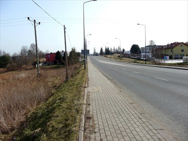 Działka inwestycyjna na sprzedaż Rybnik, Gotartowice, Żorska 5 296m2 Foto 5