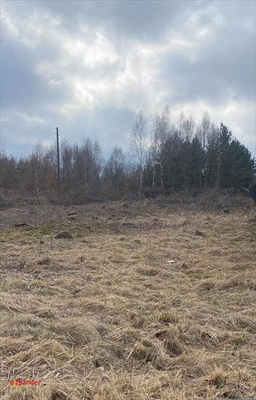 działka na sprzedaż 5970m2 działka Jaskrów