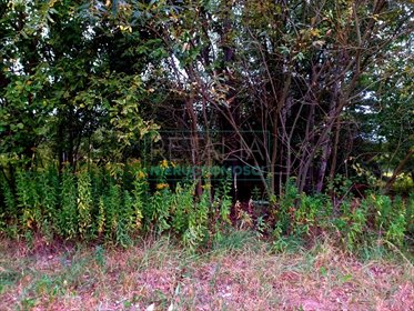 działka na sprzedaż 1900m2 działka Wolica