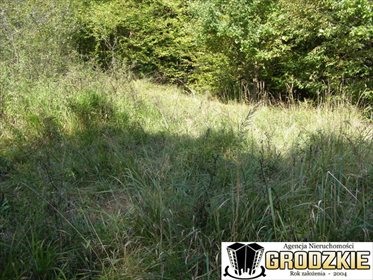 Działka rolna 16 700 m² z lasem i wypoczynkiem polecam działka Brylińce