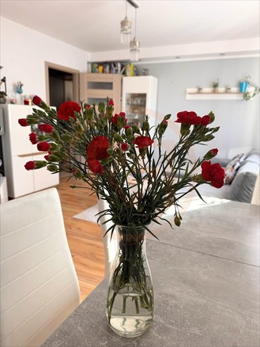 mieszkanie na sprzedaż 45m2 mieszkanie Ełk