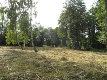 działka na sprzedaż 7100m2 działka Krakowiany