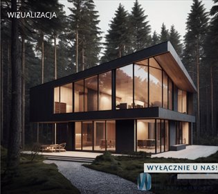 działka na sprzedaż 8520m2 działka Lipa