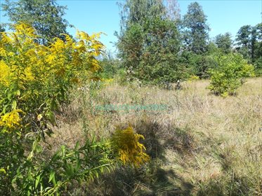 działka na sprzedaż 19900m2 działka Milanówek