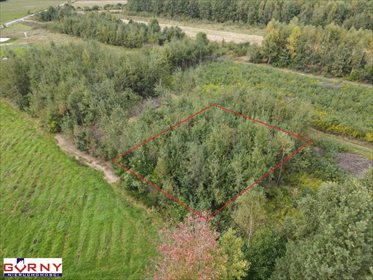 Działka inna na sprzedaż Zakrzów 676m2 Foto 5