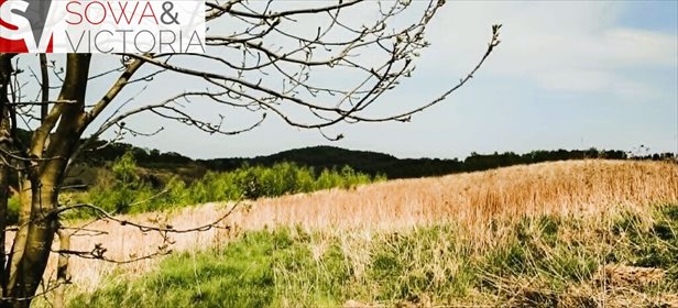 Działka 1200 m² w otulinie Książańskiego Parku Krajobrazowego działka Wałbrzych, Lubiechów