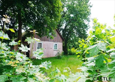 działka na sprzedaż 2398m2 działka Stegna