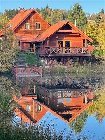 lokal użytkowy na sprzedaż 7779m2 lokal użytkowy Borówno, ok. Kamiennej
