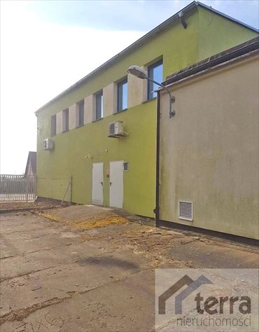 Lokal użytkowy na sprzedaż Mogilno 2 280m2 Foto 5