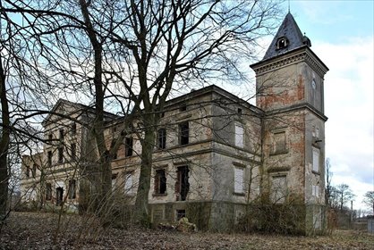 Zapraszam do obejrzenia zabytkowego pałacu 574 m² z parkiem 1,8 ha w Wierzbięcinie lokal użytkowy Wierzbięcin