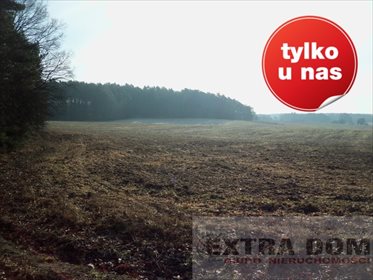 Dom na sprzedaż Sulęcin 690 000m2 Foto 5