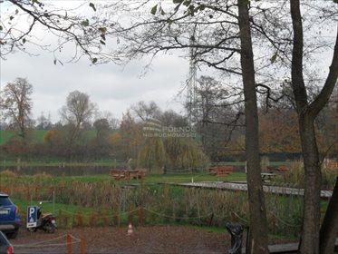 Działka rolna na sprzedaż Mikołów, Kąty, Kąty 3 260m2 Foto 6