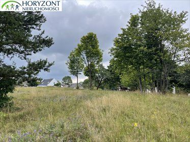 Działka 5047 m² z panoramicznym widokiem w Przywidzu działka Nowa Wieś Przywidzka