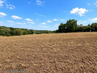 Widokowa działka budowlana 2000 m² w Owczarach - spokojna okolica działka Owczary