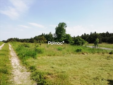Działka 4728 m² z mediami i dobrym dojazdem działka Kwaśniów Dolny