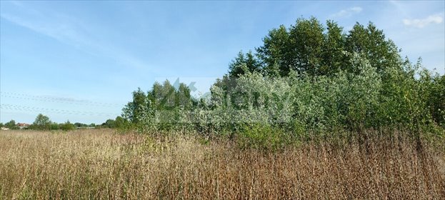 Działka 2191 m² z mediami - plan zagospodarowania Wolica działka Wolica