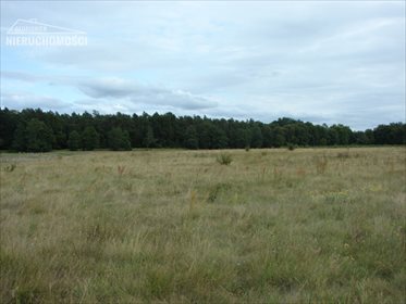 Działka rolna na sprzedaż Lubień, Lubień 46 500m2 Foto 7