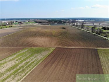 Działka 4258 m² pod zabudowę w Lubczynie - nowa cena. działka Lubczyna