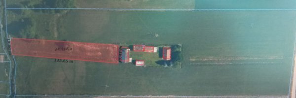 Działka 0,44 ha z domem i mediami (Kupientyn-Kolonia) działka Kupientyn-Kolonia