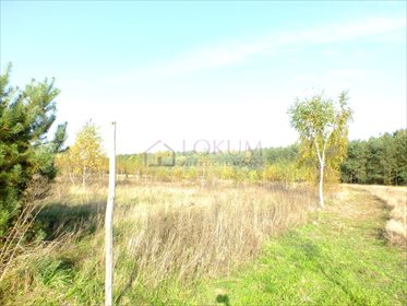Działka budowlana na sprzedaż Wsola 1 543m2 Foto 1