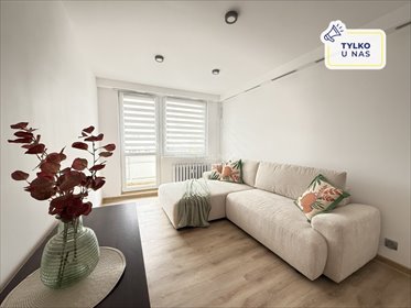 mieszkanie na wynajem 37m2 mieszkanie Jelenia Góra, Cieplice Śląskie-Zdrój, XX-lecia