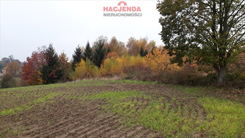 Działka rolna 14 678 m² z warunkami zabudowy, media przy drodze działka Danowo