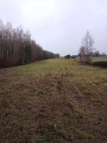 działka na sprzedaż 13902m2 działka Kolonia Góra Puławska