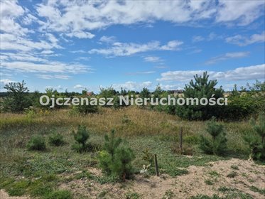 Działka 995 m² w Osówcu - płaska, z warunkami zabudowy działka Osówiec