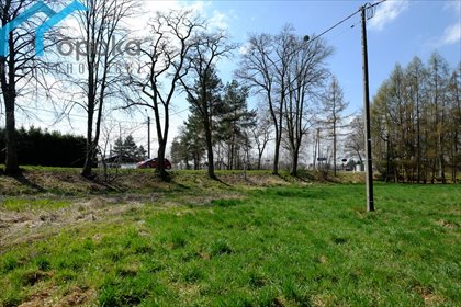 Sprzedam działkę 1177 m² w Zaborzu - płaski teren, uzbrojenie, blisko PKP działka Zaborze