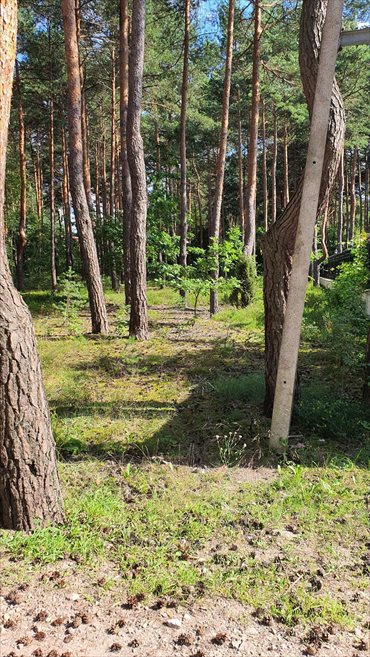 działka na sprzedaż 1200m2 działka Józefów, Józefów, Ziarnista