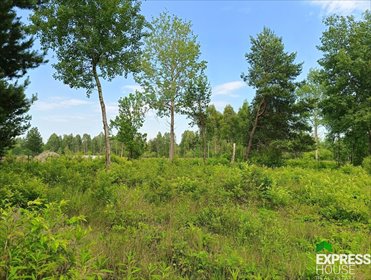 działka na sprzedaż 1319m2 działka Celinów, Świerkowa